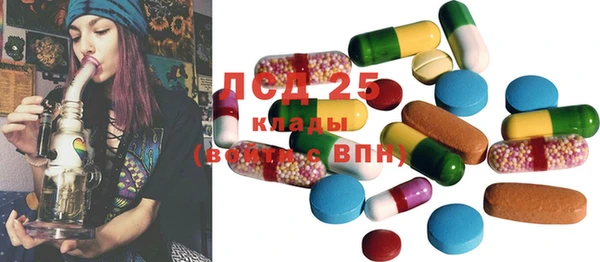 2c-b Тайга