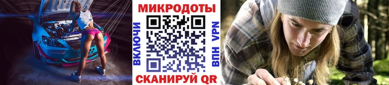 Купить Цивильск Галлюциногенные грибы прущие грибы